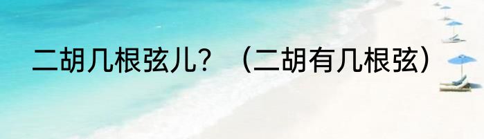 二胡几根弦儿？（二胡有几根弦）