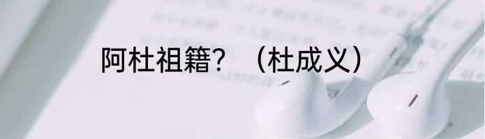 阿杜祖籍？（杜成义）