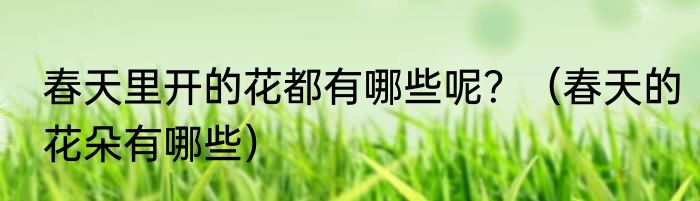 春天里开的花都有哪些呢？（春天的花朵有哪些）