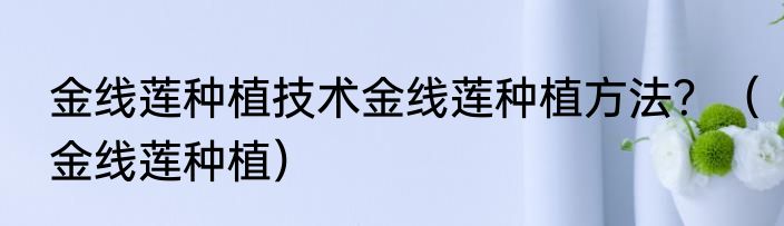 金线莲种植技术金线莲种植方法？（金线莲种植）