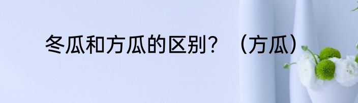 冬瓜和方瓜的区别？（方瓜）