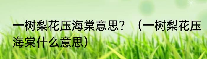 一树梨花压海棠意思？（一树梨花压海棠什么意思）