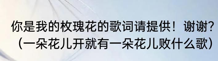 你是我的枚瑰花的歌词请提供！谢谢？（一朵花儿开就有一朵花儿败什么歌）