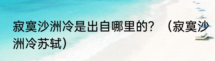 寂寞沙洲冷是出自哪里的？（寂寞沙洲冷苏轼）