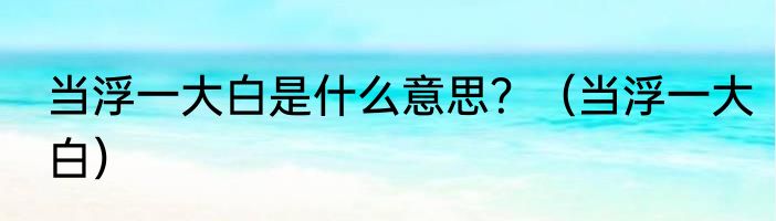 当浮一大白是什么意思？（当浮一大白）