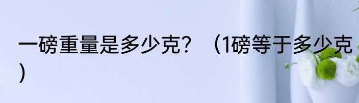 一磅重量是多少克？（1磅等于多少克）