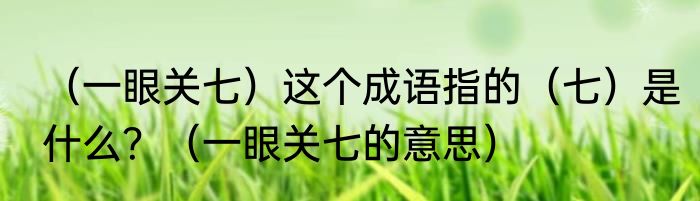 （一眼关七）这个成语指的（七）是什么？（一眼关七的意思）