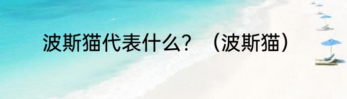 波斯猫代表什么？（波斯猫）