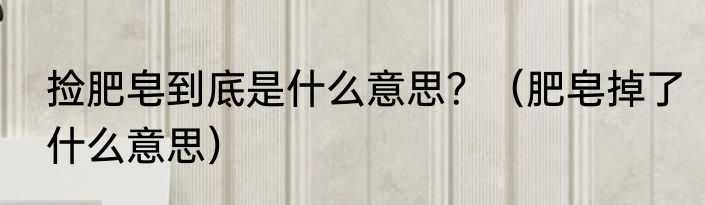 捡肥皂到底是什么意思？（肥皂掉了什么意思）