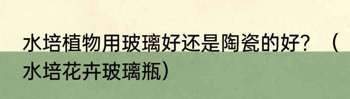 水培植物用玻璃好还是陶瓷的好？（水培花卉玻璃瓶）