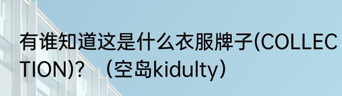有谁知道这是什么衣服牌子(COLLECTION)？（空岛kidulty）