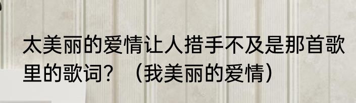 太美丽的爱情让人措手不及是那首歌里的歌词？（我美丽的爱情）