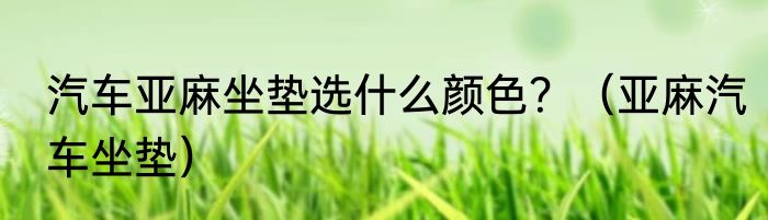 汽车亚麻坐垫选什么颜色？（亚麻汽车坐垫）