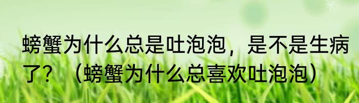 螃蟹为什么总是吐泡泡，是不是生病了？（螃蟹为什么总喜欢吐泡泡）