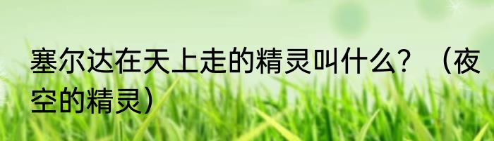 塞尔达在天上走的精灵叫什么？（夜空的精灵）