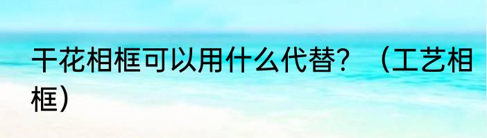 干花相框可以用什么代替？（工艺相框）
