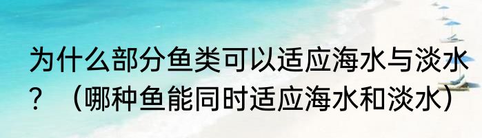 为什么部分鱼类可以适应海水与淡水？（哪种鱼能同时适应海水和淡水）