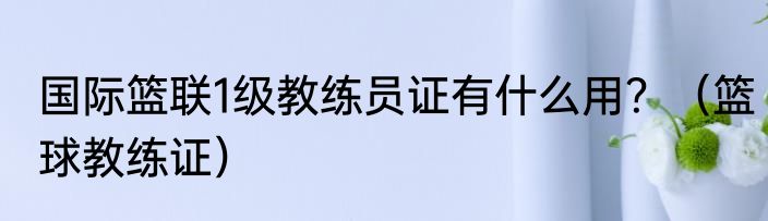 国际篮联1级教练员证有什么用？（篮球教练证）