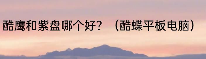 酷鹰和紫盘哪个好？（酷蝶平板电脑）