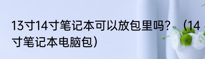 13寸14寸笔记本可以放包里吗？（14寸笔记本电脑包）