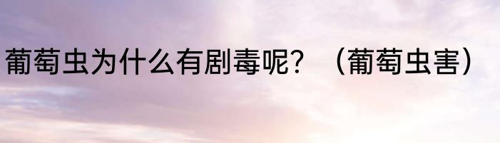 葡萄虫为什么有剧毒呢？（葡萄虫害）