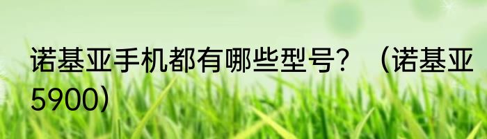 诺基亚手机都有哪些型号？（诺基亚5900）