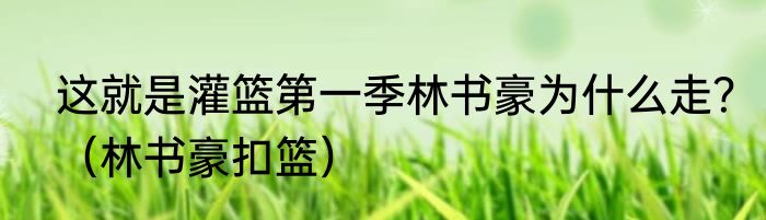 这就是灌篮第一季林书豪为什么走？（林书豪扣篮）