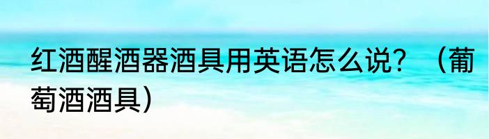 红酒醒酒器酒具用英语怎么说？（葡萄酒酒具）