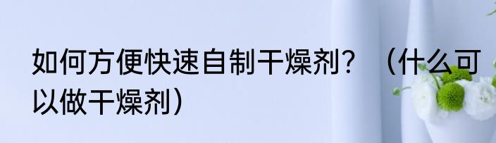 如何方便快速自制干燥剂？（什么可以做干燥剂）
