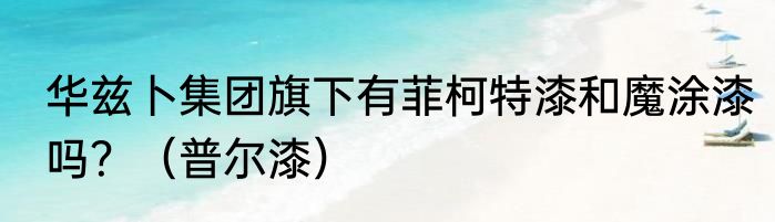 华兹卜集团旗下有菲柯特漆和魔涂漆吗？（普尔漆）