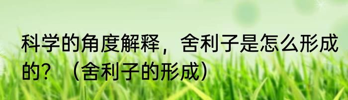 科学的角度解释，舍利子是怎么形成的？（舍利子的形成）