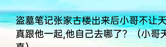 盗墓笔记张家古楼出来后小哥不让天真跟他一起,他自己去哪了？（小哥天真）