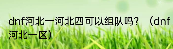dnf河北一河北四可以组队吗？（dnf河北一区）