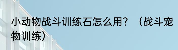 小动物战斗训练石怎么用？（战斗宠物训练）