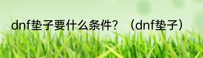 dnf垫子要什么条件？（dnf垫子）