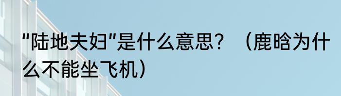 “陆地夫妇”是什么意思？（鹿晗为什么不能坐飞机）