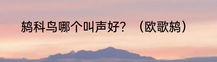 鸫科鸟哪个叫声好？（欧歌鸫）