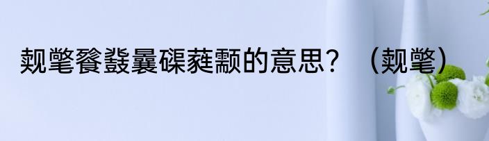觌氅餮鼗曩磲蕤颥的意思？（觌氅）