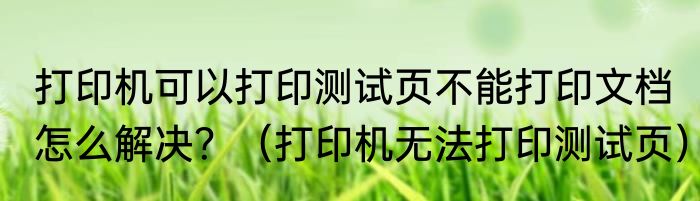 打印机可以打印测试页不能打印文档怎么解决？（打印机无法打印测试页）