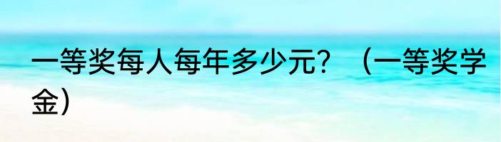 一等奖每人每年多少元？（一等奖学金）