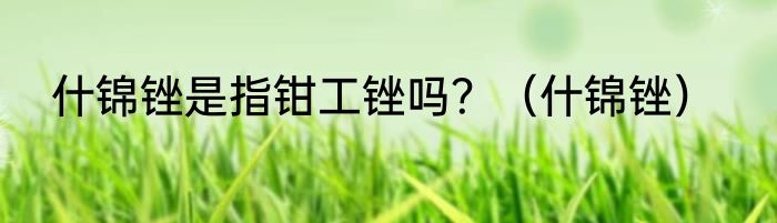 什锦锉是指钳工锉吗？（什锦锉）