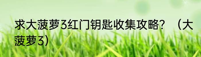 求大菠萝3红门钥匙收集攻略？（大菠萝3）