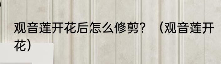 观音莲开花后怎么修剪？（观音莲开花）