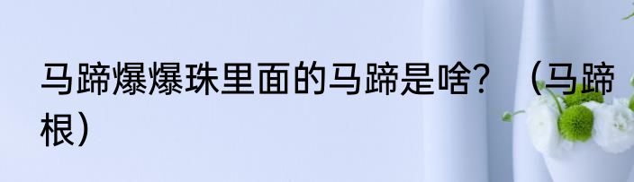 马蹄爆爆珠里面的马蹄是啥？（马蹄根）