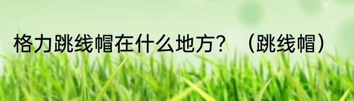 格力跳线帽在什么地方？（跳线帽）