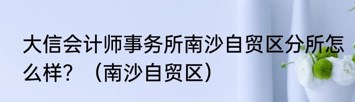 大信会计师事务所南沙自贸区分所怎么样？（南沙自贸区）
