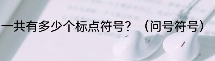 一共有多少个标点符号？（问号符号）