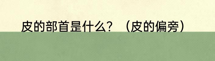 皮的部首昰什么？（皮的偏旁）
