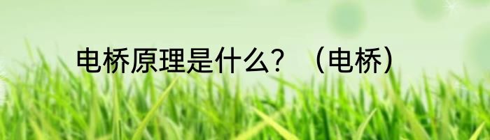 电桥原理是什么？（电桥）