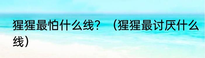 猩猩最怕什么线？（猩猩最讨厌什么线）